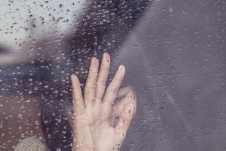 Morning at the rainy window