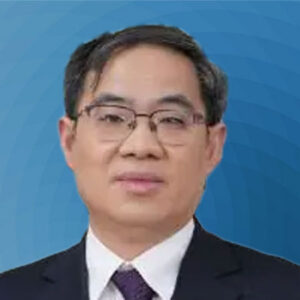 Qi Lei